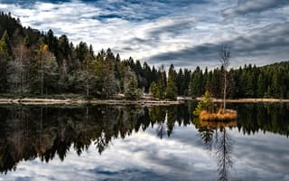 Картинка лес, природа, озеро