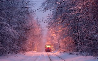Картинка зима, Алексей Харитонов, tram, трамвай, winter
