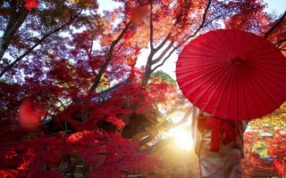 Картинка осень, девушка, парк, красный, деревья, листва, свет, ветки