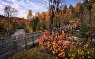 Картинка осень, пейзаж, природа, леса, река, Канада, мост