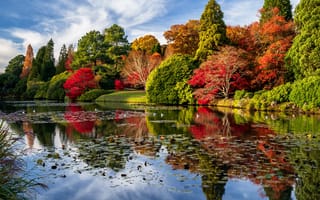 Картинка осень, деревья, Шеффилд, парк, пруд, Англия, природа, Sheffield Garden, пейзаж