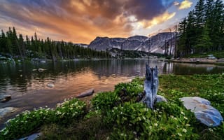 Картинка лес, закат, США, Вайоминг, горы, цветы, берег, скалы