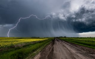 Картинка дорога, гроза, цветы, небо, поле, тучи, трава, желтый