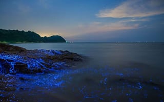 Картинка Япония, светляк, Окаяма