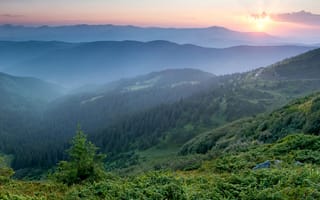 Картинка Украина, рассвет, Карпаты, горы, утро, лес, туман