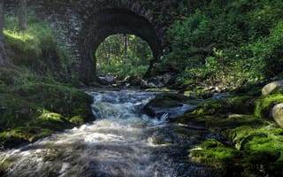 Картинка мост, река, природа