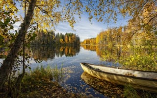 Картинка лес, лето, озеро, лодка