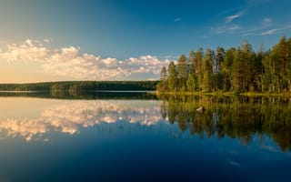 Картинка лес, Kattilajärvi Lake, Финляндия, озеро, Озеро Каттилаярви, Finland, отражение
