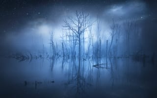 Картинка вода, fog, reflection, trees, stars, туман, отражение, water, деревья, звезды, Christian Lindsten, свечение, glow