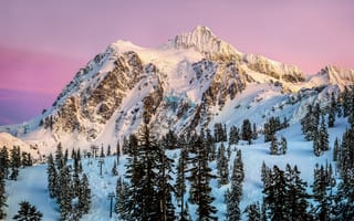 Картинка зима, штат Вашингтон, Гора Шуксан, курорт, розовое, лес, вечер, январь, небо, Северная Америка, США, закат