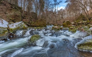 Картинка лес, камни, лёд, речка, frozen, мох, South Eifel, Германия