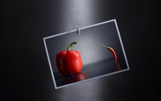 Картинка перец, chili, вес, weight, чили, Виктория Иванова, pepper