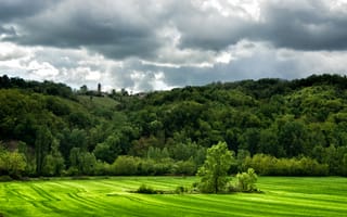 Картинка Италия, тучи, деревья, трава, зелень, Lugagnano Val dArda, холмы, поле