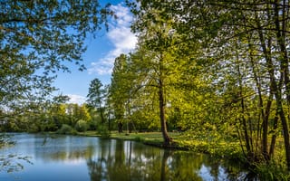 Картинка Хорватия, Bobovica, Zagreb, озеро, парк, деревья, лавочки