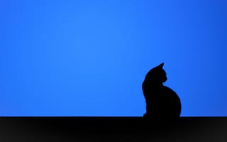 Картинка кошка, минимализм, силуэт