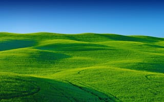Картинка поле, небо, трава, холмі