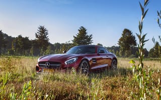 Картинка Mercedes, AMG, GT S, Edition One, car, nature
