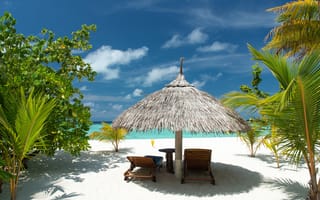 Обои tropical, sea, пляж, beach, paradise, palms, sand, песок, пальмы, vacation, море, лето, summer