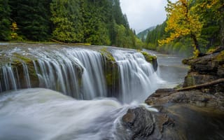 Картинка осень, лес, Gifford Pinchot National Forest, водопад, каскад, Washington State, Штат Вашингтон, Река Льюис, Lower Lewis River Falls, Lewis River, река