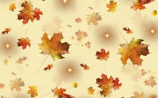 Картинка golden, leaves, stars, season, fallen, autumn