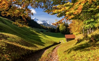 Картинка дорога, осень, деревья, Бавария, лес, Германия, Bavaria, Germany, горы