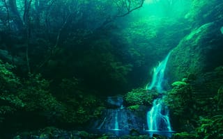 Картинка вода, деревья, водопад, ручей, камни, Национальный парк Янминшань, ступеньки, Тайвань, природа
