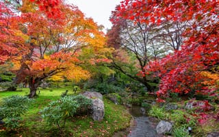 Картинка осень, листья, park, colorful, парк, landscape, деревья, nature