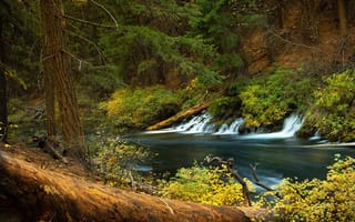 Картинка лес, река, Река Метолиус, водопад, Oregon, Metolius River, Орегон, каскад
