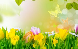 Картинка весна, трава, тюльпаны, цветы