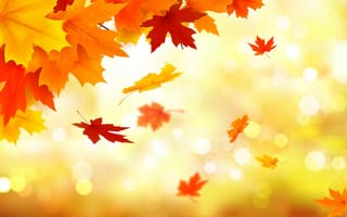 Обои осень, листья, autumn, leaves, colorful, maple, клен