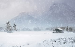 Картинка зима, поле, туман, деревья, лес, горы, снег, природа