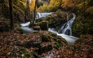 Картинка осень, лес, река, опавшие листья, ручей, каскад, водопады, деревья