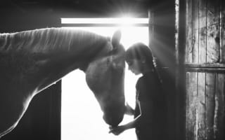 Картинка свет, girl, light, Alessandro Cereda, лошадь, horse, девочка