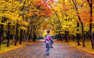 Картинка осень, листья, tree, девушка, Япония, nature, парк, деревья, leaves, autumn, park, kimono, кимоно, Japan