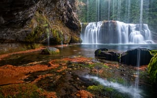Картинка лес, скала, Lower Lewis River Falls, Штат Вашингтон, каскад, водопад, Gifford Pinchot National Forest, Washington State, Lewis River, Река Льюис, река