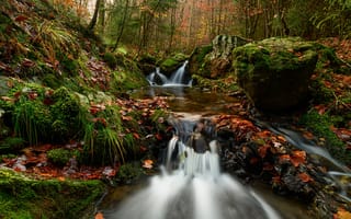 Картинка осень, лес, ручей, Бельгия, водопад, опавшие листья, каскад