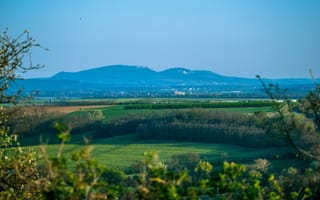 Картинка зелень, поле, деревья, горы, небо, лес, свет, лето