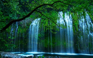 Картинка Mossbrae Falls, природа, Sacramento River, деревья, Shasta Retreat, США, зелень, Dunsmuir, водопад, Северная Калифорния, Erno Photography
