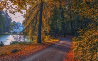 Картинка дорога, осень, озеро, здание, деревья, лес, парк