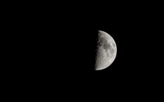 Обои moon, поверхность, луна, спутник