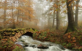 Картинка осень, лес, Наварра, мостик, речка, Испания, деревья