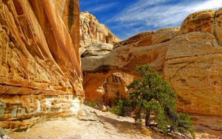 Картинка небо, солнце, арка, деревья, скалы, камни