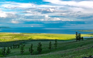 Картинка цветы, свет, синева, море, водоем, склон, берег, деревья