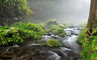 Картинка туман, камни, речка, течение