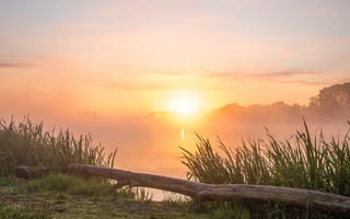Картинка лето, небо, деревья, облака, солнце, лучи, свет, трава