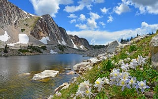Картинка зелень, небо, облака, снег, горы, река, цветы, озеро