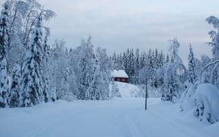 Картинка зима, иней, столбы, деревья, облака, снег, дорога, лес