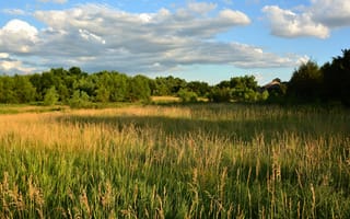 Картинка крыша, поле, свет, лес, облака, трава, небо, лето