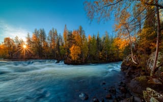 Картинка осень, лес, Kitkajoki River, Kuusamo, Река Киткайоки, Finland, Финляндия, Myllykoski, восход, Мюллюкоски, река, рассвет, деревья