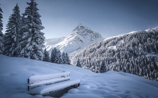 Картинка зима, лес, ели, деревья, горы, скамейка, снег, Австрия